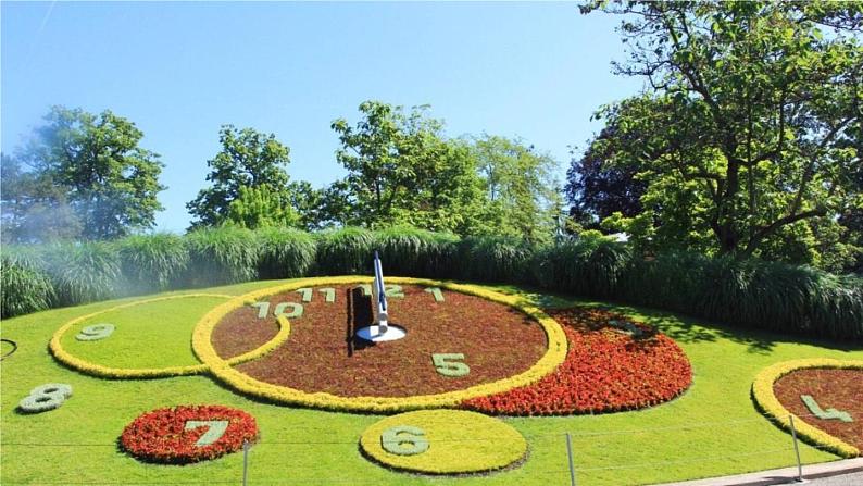 13.《花钟》第1课时第5页