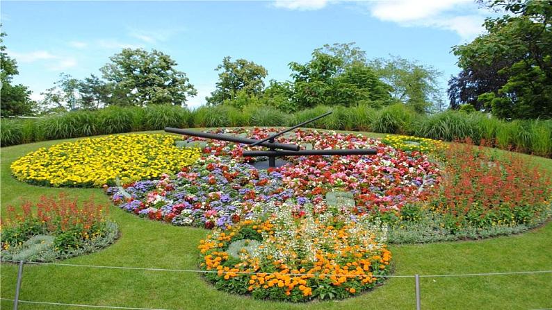 13.《花钟》第1课时第7页