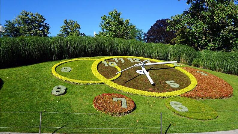 13.《花钟》第1课时第8页