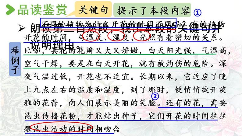 13.《花钟》第2课时第6页