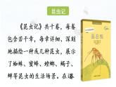 统编版三年级语文下册 第四单元 14.蜜蜂 课件
