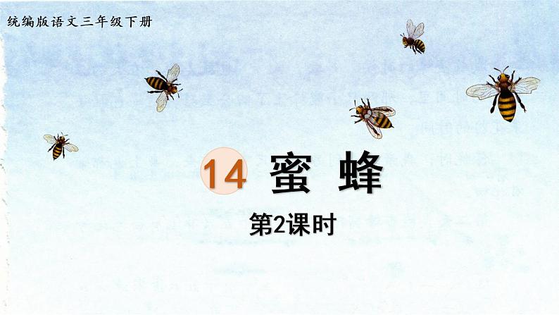 14.《蜜蜂》第2课时第1页