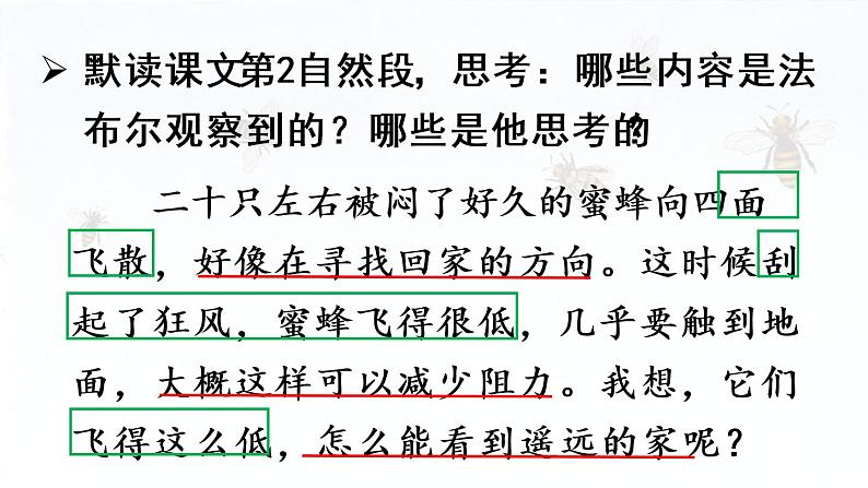 14.《蜜蜂》第2课时第3页