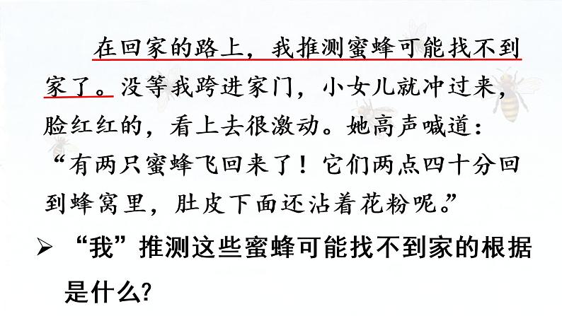 14.《蜜蜂》第2课时第8页