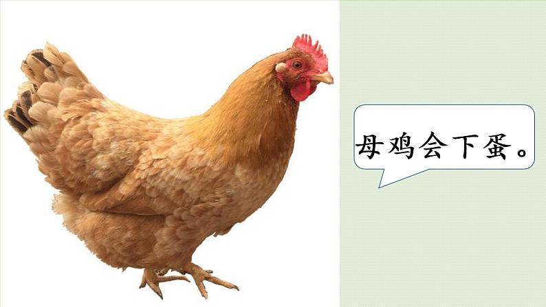 统编版三年级语文下册 第八单元 习作：这样想象真有趣 课件04