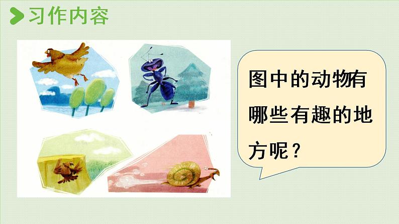 统编版三年级语文下册 第八单元 习作：这样想象真有趣 课件07