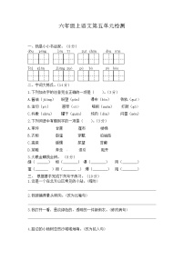 人教部编版六年级上册第五单元单元综合与测试课后测评