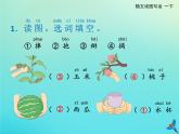 一年级语文下册第七单元第18课小猴子下山随文读图写话课件新人教版