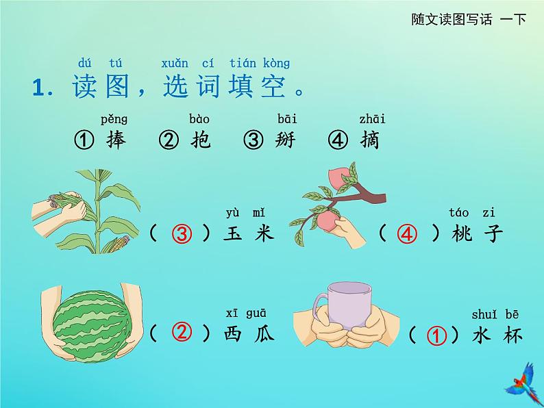 一年级语文下册第七单元第18课小猴子下山随文读图写话课件新人教版第3页