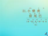 一年级语文下册第八单元第21课小壁虎借尾巴随文读图写话课件新人教版