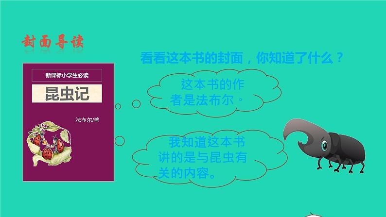 2021秋六年级语文上册名著导读昆虫记课件新人教版第4页