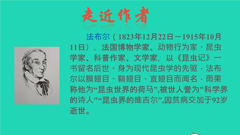 2021秋六年级语文上册名著导读昆虫记课件新人教版第5页