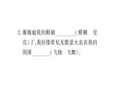 部编版语文四年级上册第一单元 繁星  训练课件(共14张PPT)
