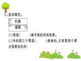 部编版 语文三年级上册  知识总结课件PPT   ：10 在牛肚子里旅行