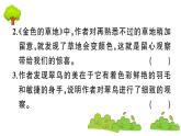 部编版 语文三年级上册  知识总结课件PPT   ：习作园地五