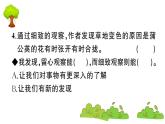 部编版 语文三年级上册  知识总结课件PPT   ：习作园地五
