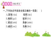 部编版 语文三年级上册  知识总结课件PPT   ：18 富饶的西沙群岛