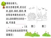 部编版 语文三年级上册  知识总结课件PPT   ：18 富饶的西沙群岛