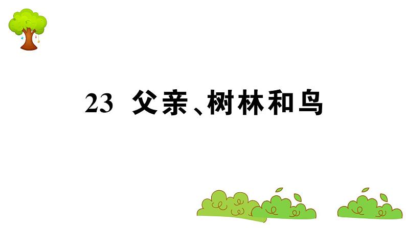 部编版 语文三年级上册  知识总结课件PPT   ：23 父亲、树林和鸟01