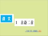 二年级语文下册第一单元课文11古诗二首训练课件新人教版