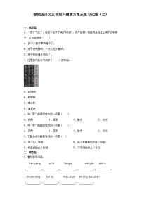 语文五年级下册第六单元单元综合与测试习题