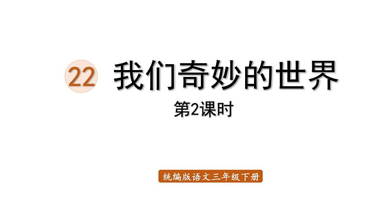 22.我们奇妙的世界课件PPT01