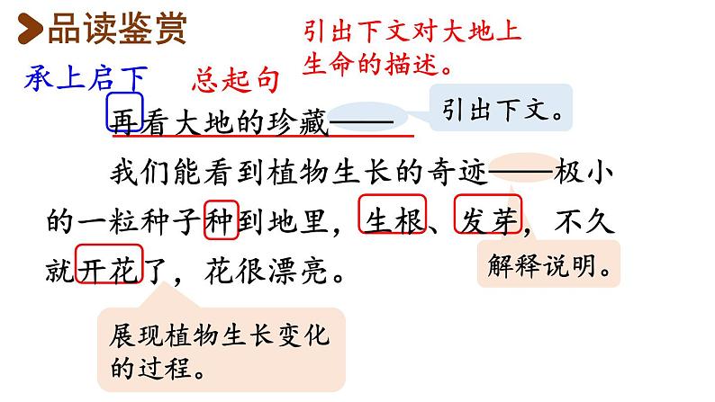 22.我们奇妙的世界课件PPT05