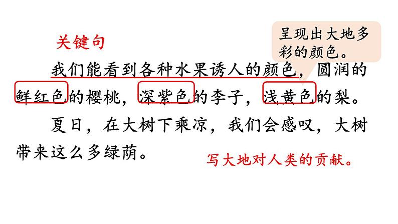 22.我们奇妙的世界课件PPT06