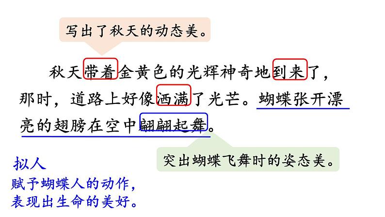 22.我们奇妙的世界课件PPT07