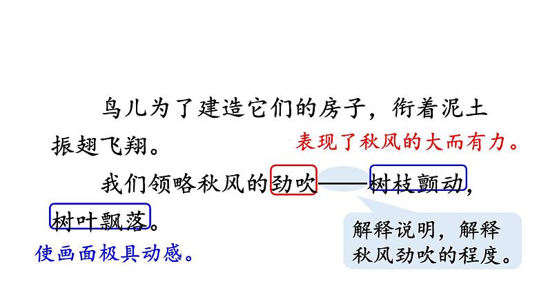 22.我们奇妙的世界课件PPT08