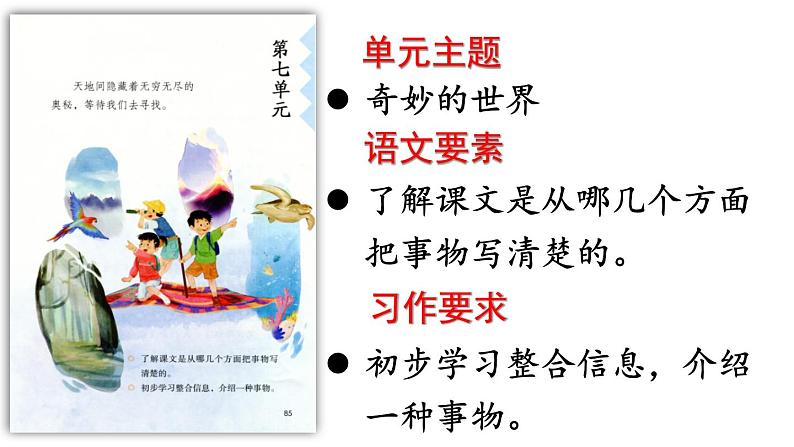 22.我们奇妙的世界课件PPT01