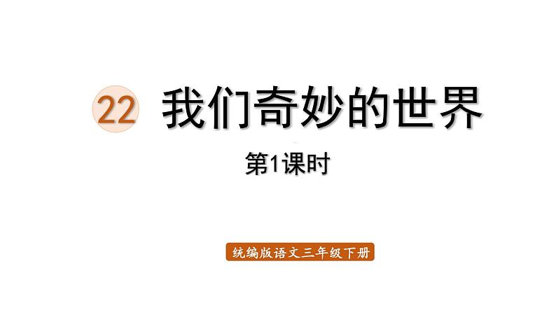 22.我们奇妙的世界课件PPT02