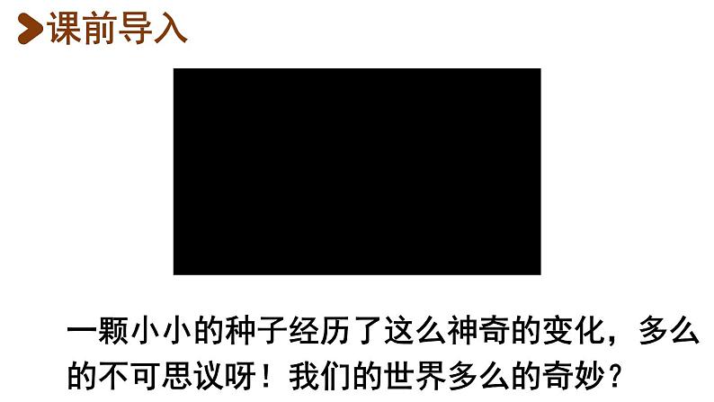 22.我们奇妙的世界课件PPT04