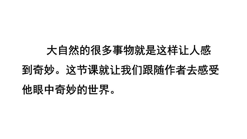 22.我们奇妙的世界课件PPT06