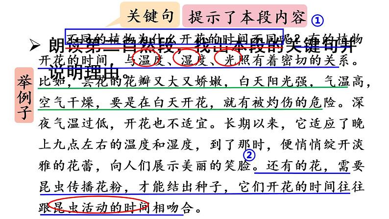 13花钟课件 素材（2课时，65 46张PPT)06