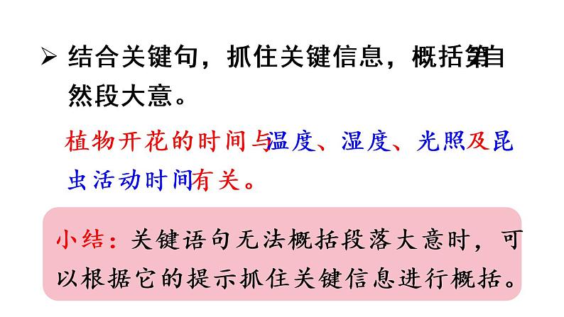 13花钟课件 素材（2课时，65 46张PPT)07