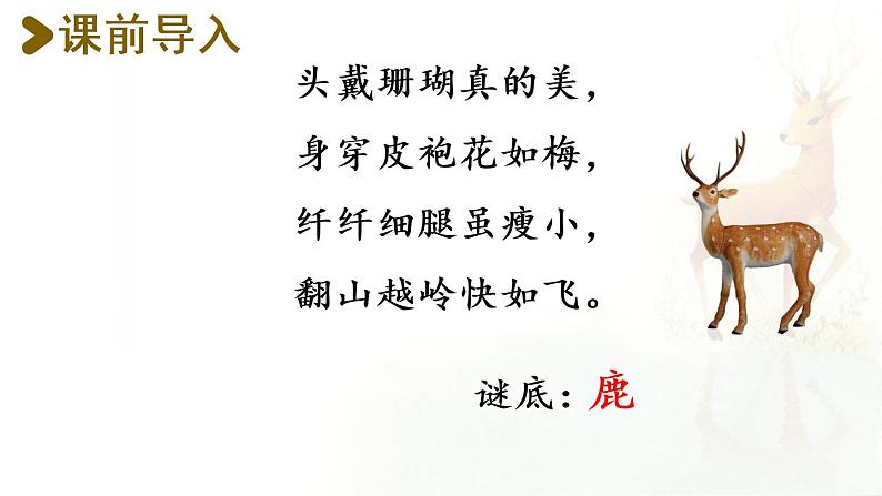 7.鹿角和鹿腿第1课时第2页