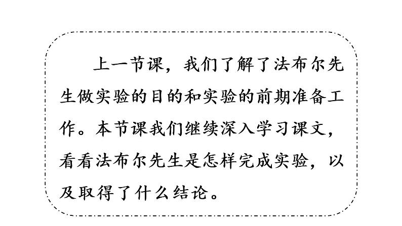 14蜜蜂课件 素材（2课时，42 43张PPT)02