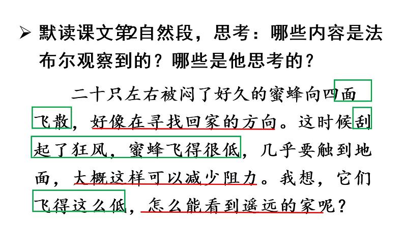 14蜜蜂课件 素材（2课时，42 43张PPT)03