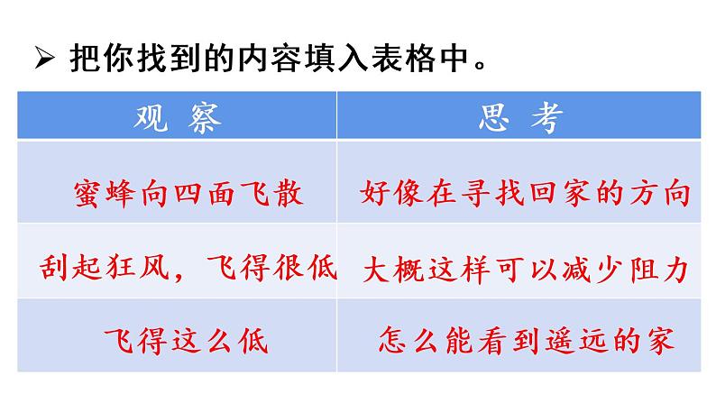 14蜜蜂课件 素材（2课时，42 43张PPT)04