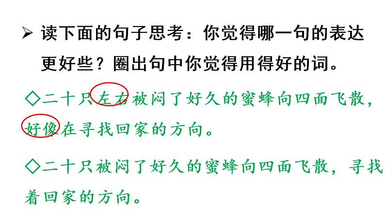 14蜜蜂课件 素材（2课时，42 43张PPT)06