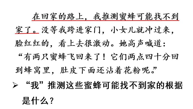 14蜜蜂课件 素材（2课时，42 43张PPT)08