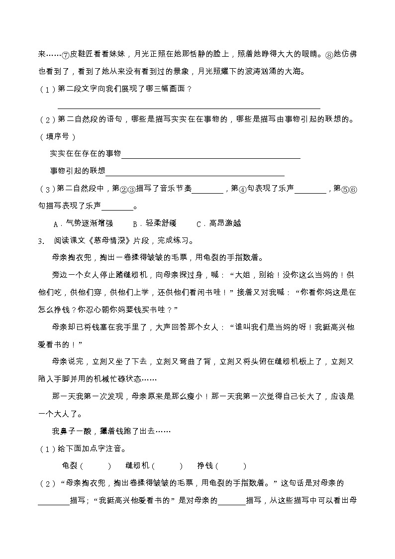 2021-2022学年度小升初语文阅读专项训练（人教部编版有答案）（1）第2页