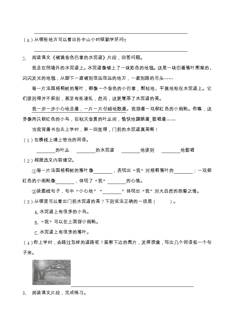 部编版三年级语文上册课内阅读专项训练（含答案） (10)02