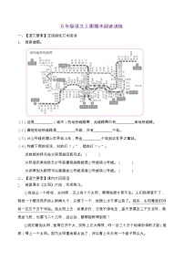 人教部编版五年级语文上册期末阅读提升训练（含答案）(11)