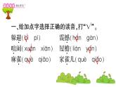 部编版 语文四年级上册 复习课件 ：8 蝴蝶的家