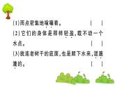 部编版 语文四年级上册 复习课件 ：8 蝴蝶的家