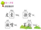 部編版 語(yǔ)文四年級(jí)上冊(cè) 第六單元知識(shí)總結(jié)課件PPT