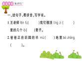 部编版 语文五年级上册 知识总结课件 ：2 落花生