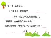 部编版 语文五年级上册 知识总结课件 ：2 落花生
